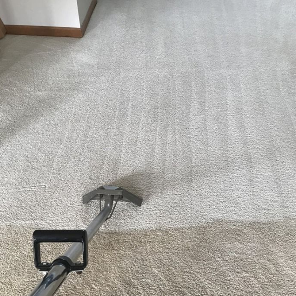 Before and after carpet cleaning in Brisbane & Adelaide by The Clean Master