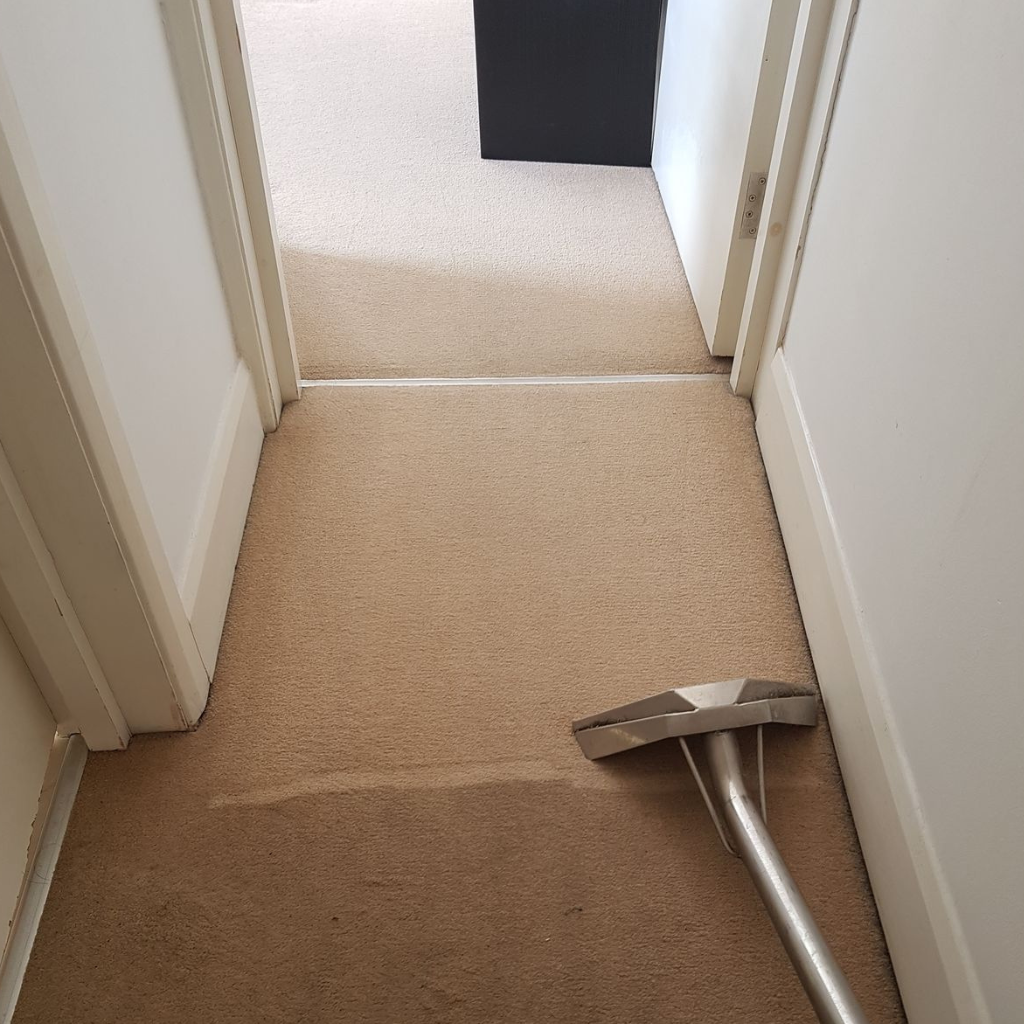 Carpet cleaning services in Brisbane & Adelaide by The Clean Master for residential and commercial clients