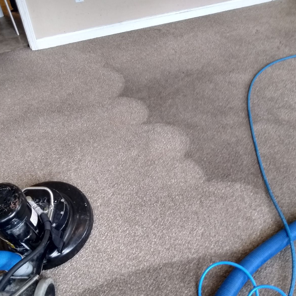Our diverse carpet cleaning methods by The Clean Master in Brisbane & Adelaide for residential and commercial spaces