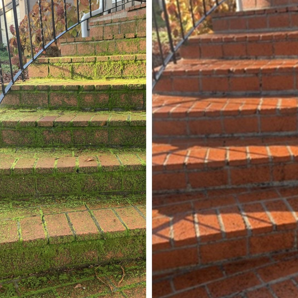 Outdoor Cleaning services in Brisbane and Adelaide by The Clean Master showing before and after cleaning of moss-covered brick steps.