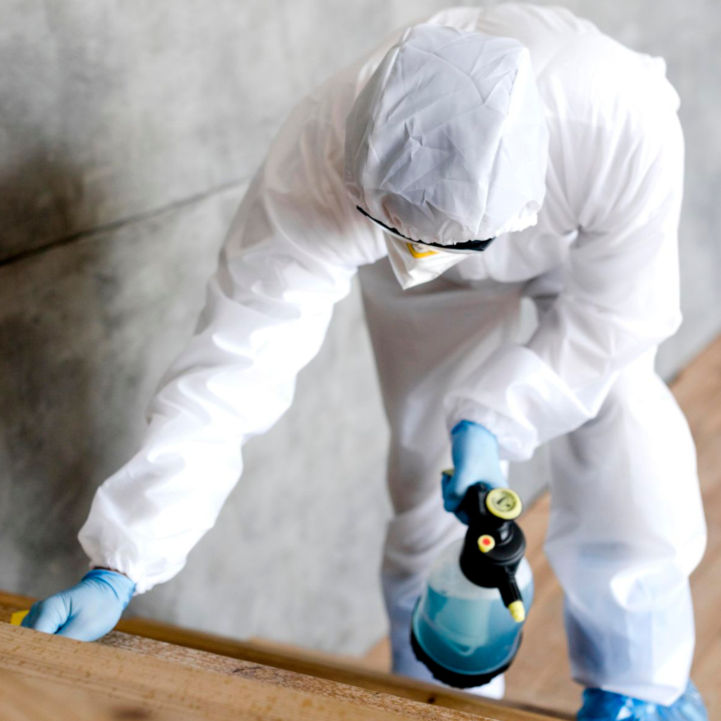 Pest control services by The Clean Master in Brisbane and Adelaide with safe treatment on stairs for residential and commercial spaces