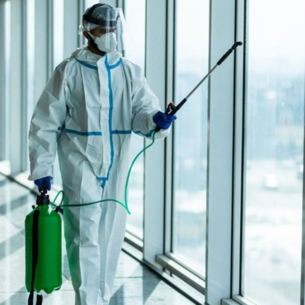 Pest control services by The Clean Master using tailored methods in Brisbane and Adelaide for residential and commercial properties