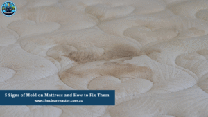 Mold on mattress – visible stains and cleaning solutions explained in The Clean Master blog